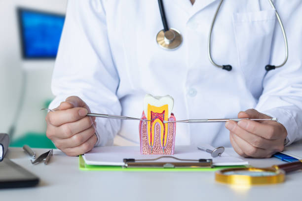 Best Pediatric Emergency Dentist in Sand Hill, PA